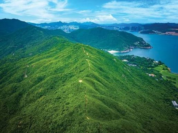 Đường mòn Dragon's Back Hong Kong: cung trekking đẹp có dễ đi không?