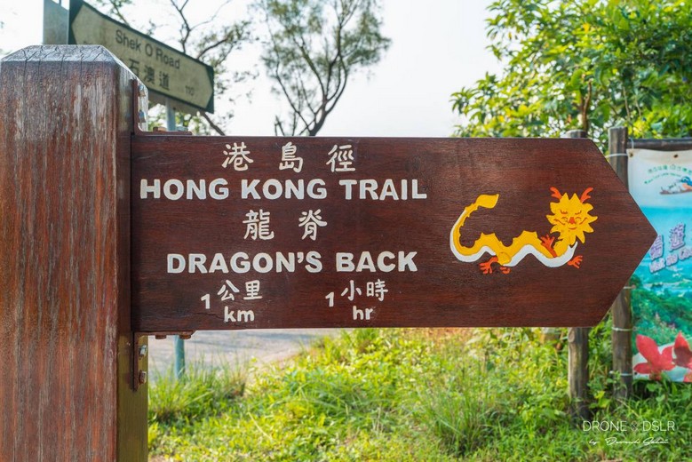Đường mòn Dragon's Back Hong Kong: cung trekking đẹp có dễ đi không?