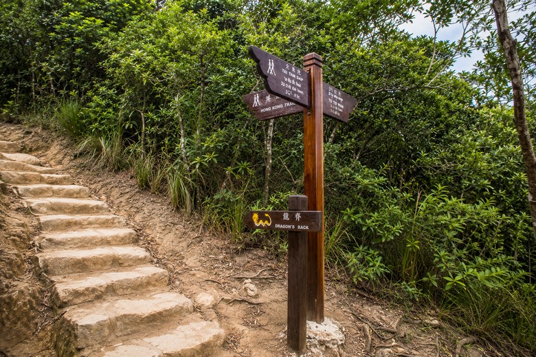 Đường mòn Dragon's Back Hong Kong: cung trekking đẹp có dễ đi không?
